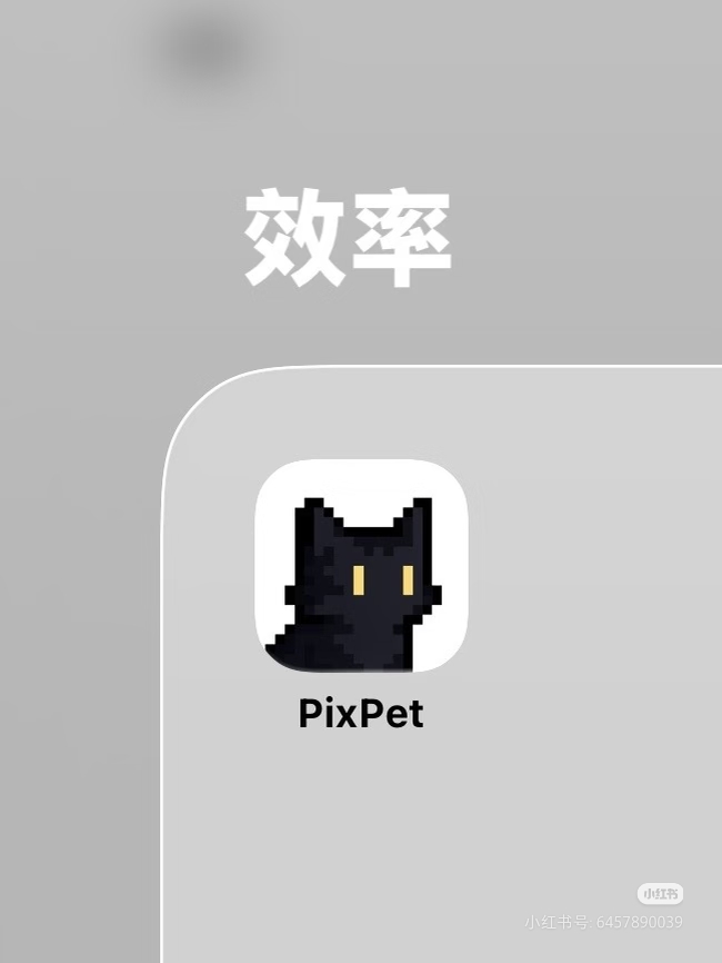 文科生开发四个月成功上架第一款App 文科生开发四个月成功上架第一款App